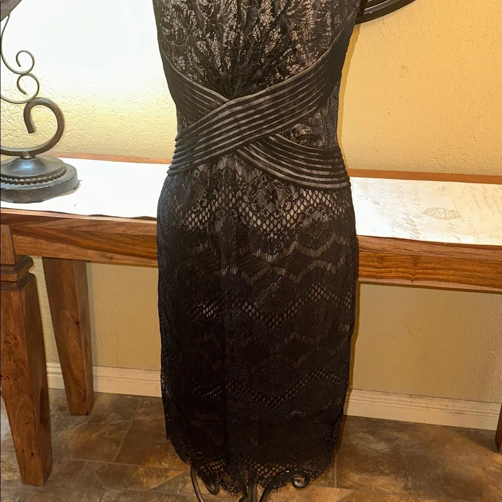 Tadashi Shoji Eyelash Lace Dress - Picture 4 of 9